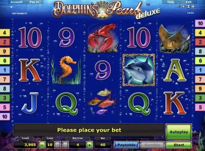 Dolphin's Pearl deluxe nyerőgép - képernyőkép a játékból