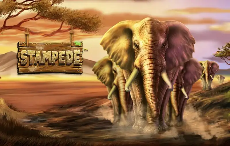 Stampede - a Betsoft safari nyerőgép adatlapja